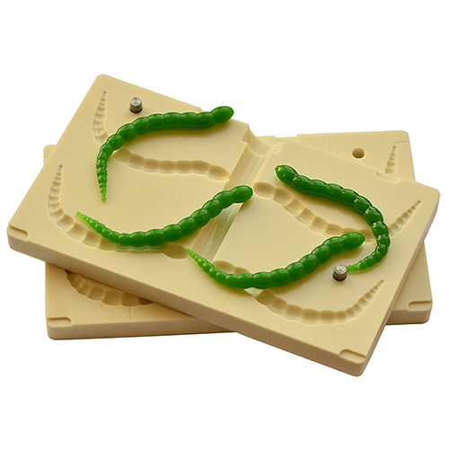 Mold W750 4 Cavity 2.56" inch / 65 mm